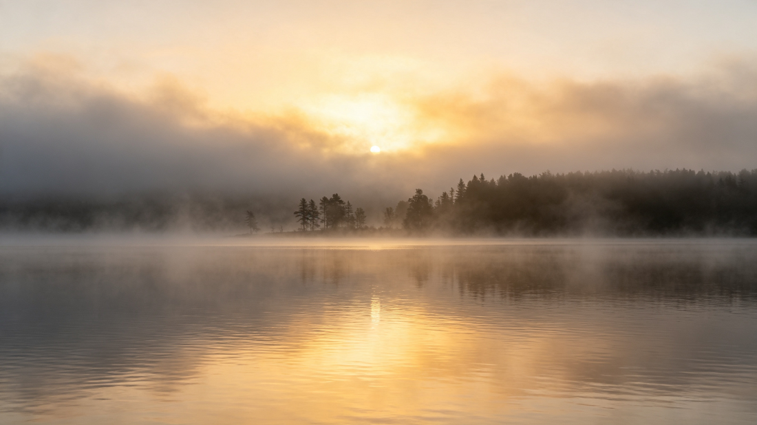 Learning to Let Go: A Letter to the Caregiver Who Is Trying to Accept What They Cannot Change